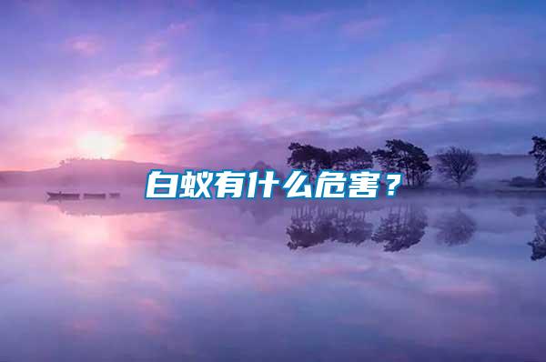 白蚁有什么危害？