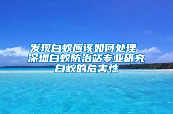 发现白蚁应该如何处理 深圳白蚁防治站专业研究白蚁的危害性