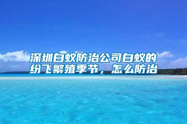 深圳白蚁防治公司白蚁的纷飞繁殖季节，怎么防治