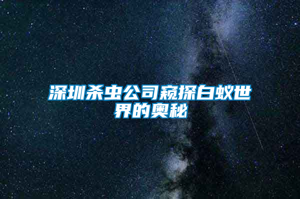 深圳杀虫公司窥探白蚁世界的奥秘