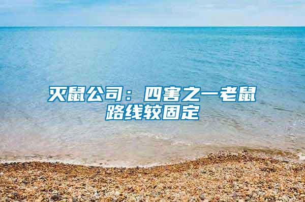 灭鼠公司：四害之一老鼠路线较固定
