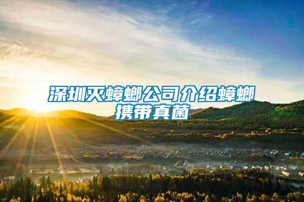 深圳灭蟑螂公司介绍蟑螂携带真菌