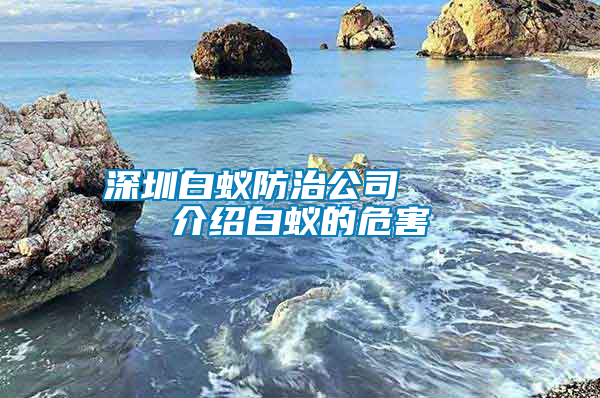 深圳白蚁防治公司    介绍白蚁的危害