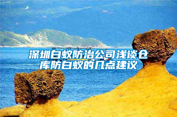 深圳白蚁防治公司浅谈仓库防白蚁的几点建议