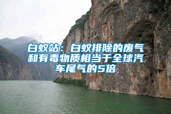 白蚁站：白蚁排除的废气和有毒物质相当于全球汽车尾气的5倍