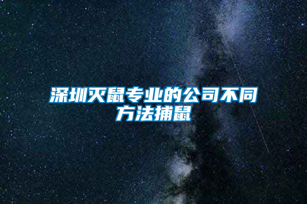 深圳灭鼠专业的公司不同方法捕鼠