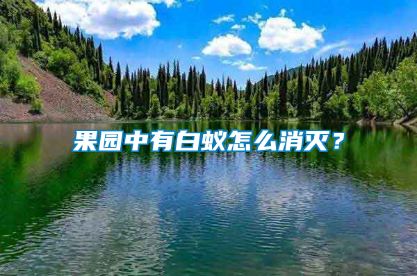 果园中有白蚁怎么消灭？