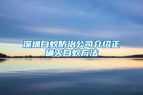 深圳白蚁防治公司介绍正确灭白蚁方法