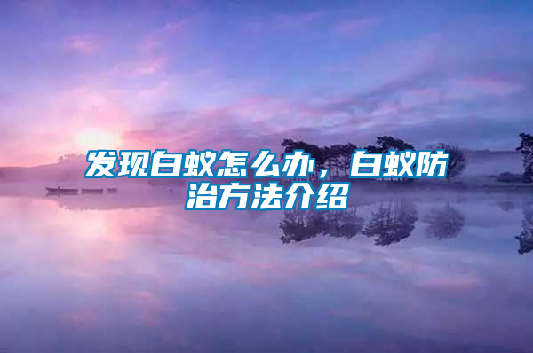 发现白蚁怎么办，白蚁防治方法介绍