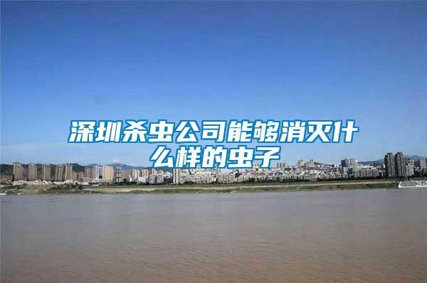 深圳杀虫公司能够消灭什么样的虫子