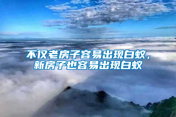 不仅老房子容易出现白蚁，新房子也容易出现白蚁