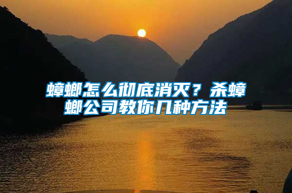 蟑螂怎么彻底消灭？杀蟑螂公司教你几种方法