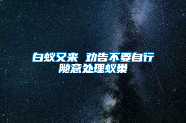 白蚁又来 劝告不要自行随意处理蚁巢