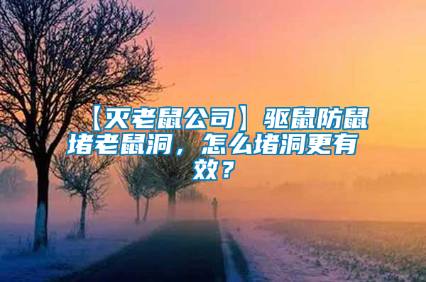 【灭老鼠公司】驱鼠防鼠堵老鼠洞，怎么堵洞更有效？