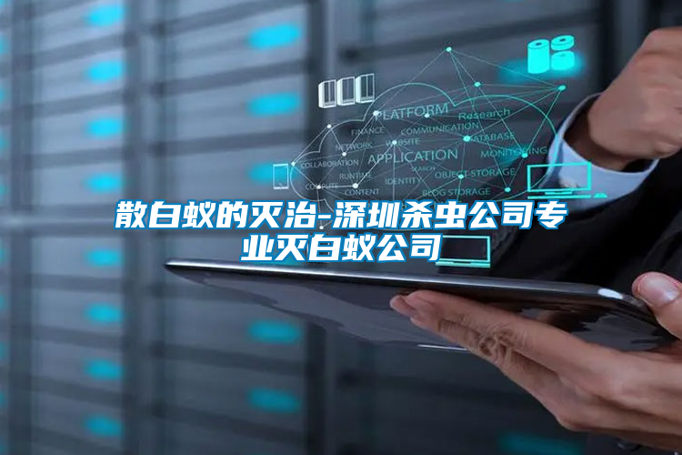 散白蚁的灭治-深圳杀虫公司专业灭白蚁公司
