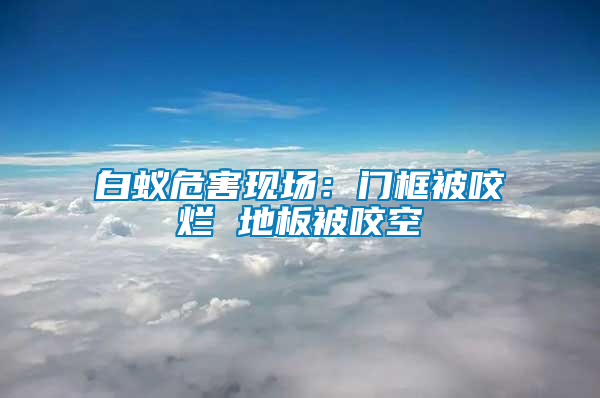 白蚁危害现场：门框被咬烂 地板被咬空