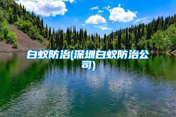 白蚁防治(深圳白蚁防治公司)