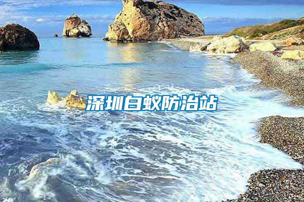 深圳白蚁防治站