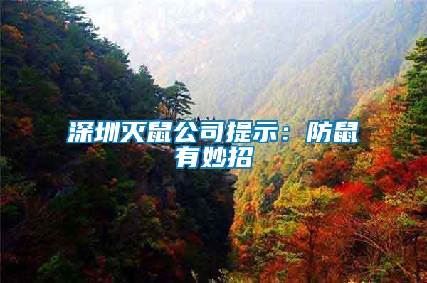 深圳灭鼠公司提示：防鼠有妙招