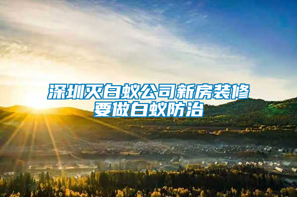 深圳灭白蚁公司新房装修要做白蚁防治