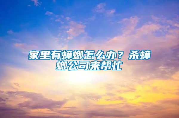 家里有蟑螂怎么办？杀蟑螂公司来帮忙