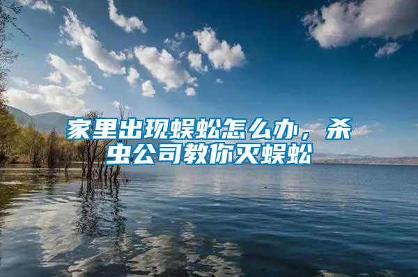 家里出现蜈蚣怎么办，杀虫公司教你灭蜈蚣