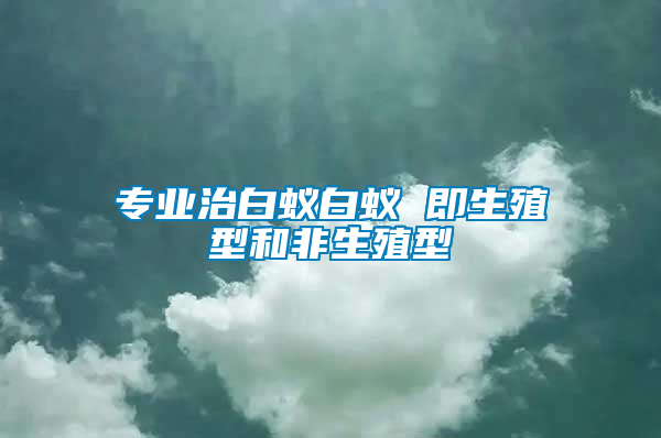 专业治白蚁白蚁 即生殖型和非生殖型