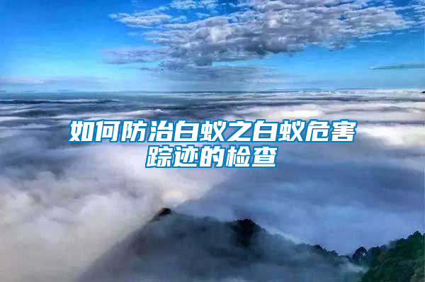 如何防治白蚁之白蚁危害踪迹的检查