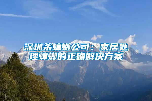 深圳杀蟑螂公司：家居处理蟑螂的正确解决方案