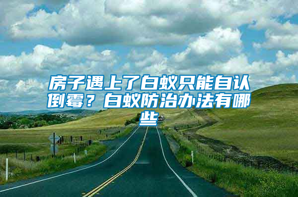 房子遇上了白蚁只能自认倒霉？白蚁防治办法有哪些