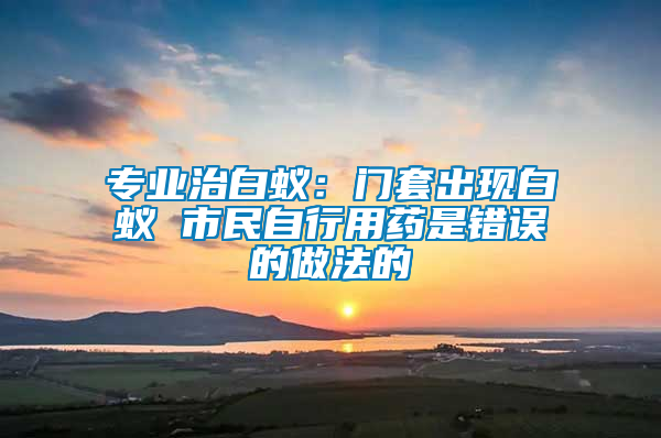 专业治白蚁：门套出现白蚁 市民自行用药是错误的做法的