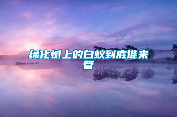 绿化树上的白蚁到底谁来管