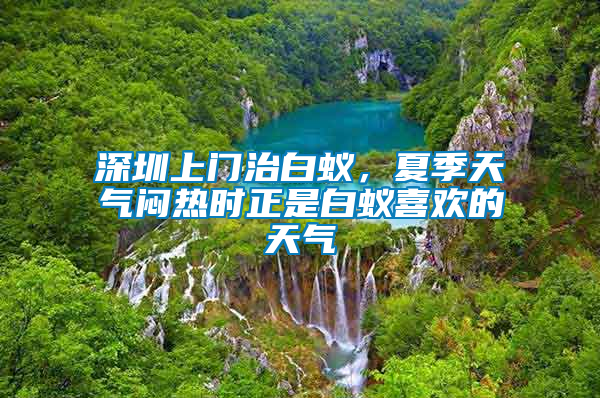 深圳上门治白蚁，夏季天气闷热时正是白蚁喜欢的天气