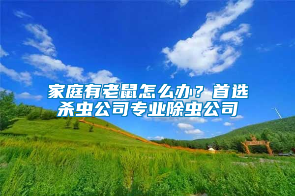 家庭有老鼠怎么办？首选杀虫公司专业除虫公司