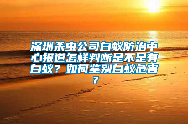 深圳杀虫公司白蚁防治中心报道怎样判断是不是有白蚁？如何鉴别白蚁危害？