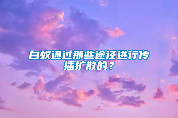 白蚁通过那些途径进行传播扩散的？