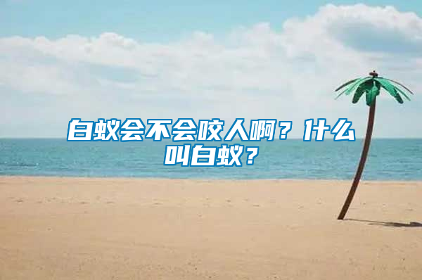 白蚁会不会咬人啊？什么叫白蚁？