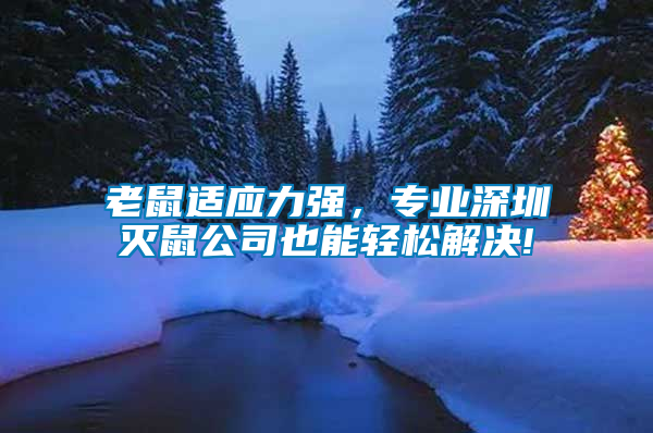 老鼠适应力强，专业深圳灭鼠公司也能轻松解决!