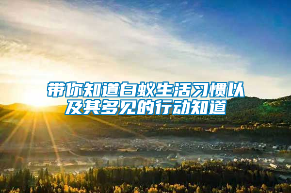 带你知道白蚁生活习惯以及其多见的行动知道