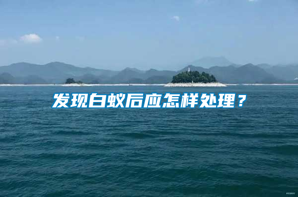 发现白蚁后应怎样处理？