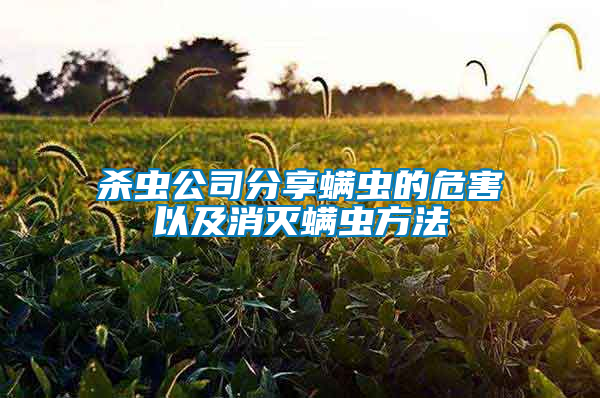 杀虫公司分享螨虫的危害以及消灭螨虫方法