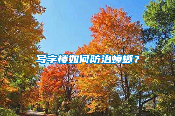 写字楼如何防治蟑螂？