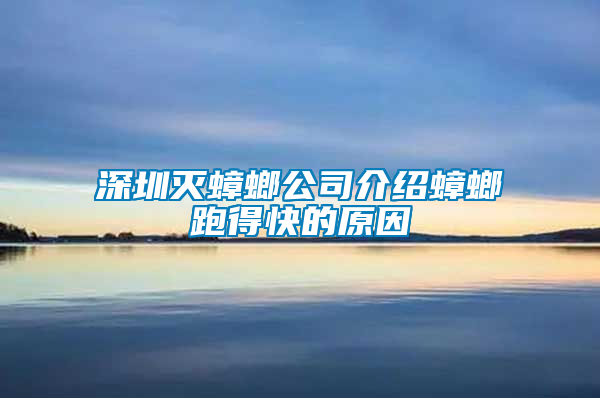 深圳灭蟑螂公司介绍蟑螂跑得快的原因