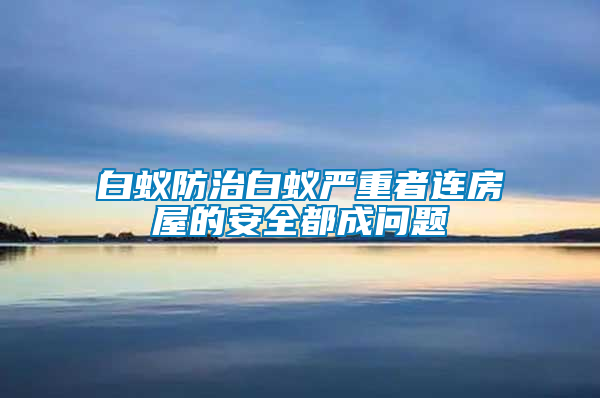 白蚁防治白蚁严重者连房屋的安全都成问题