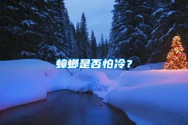 蟑螂是否怕冷？