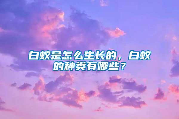 白蚁是怎么生长的，白蚁的种类有哪些？