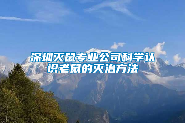 深圳灭鼠专业公司科学认识老鼠的灭治方法