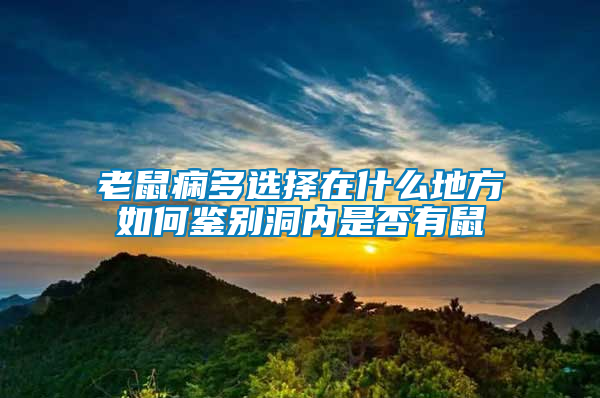 老鼠痫多选择在什么地方如何鉴别洞内是否有鼠