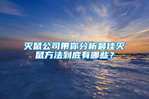 灭鼠公司带你分析最佳灭鼠方法到底有哪些？