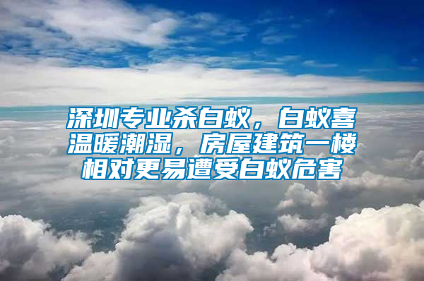 深圳专业杀白蚁，白蚁喜温暖潮湿，房屋建筑一楼相对更易遭受白蚁危害